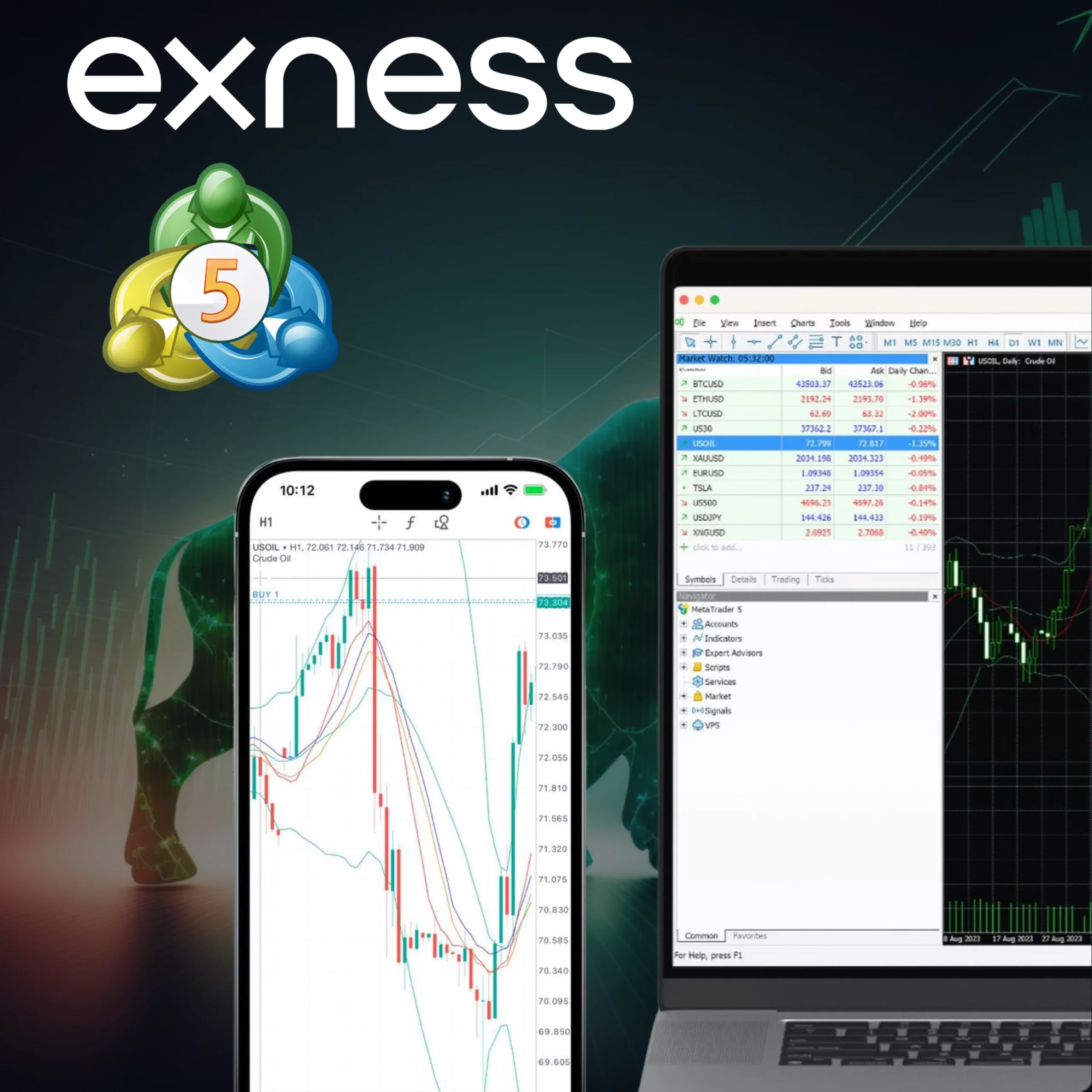 Téléchargez MetaTrader 5 depuis le site Web d'Exness.