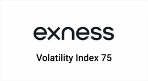 Exness propose-t-il l'indice de volatilité 75 pour le trading?